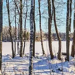 Annelinniemi By Interhome * Kuohijarvi