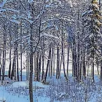 Annelinniemi By Interhome *