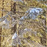 Annelinniemi By Interhome