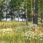 Annelinniemi By Interhome Kuohijarvi
