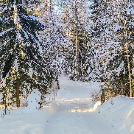 Annelinniemi By Interhome Kuohijarvi