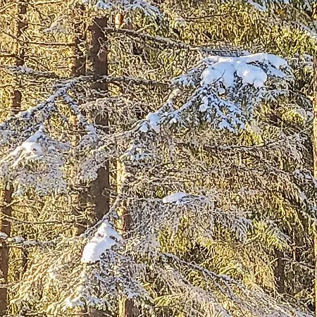 Vakantiehuis Annelinniemi By Interhome