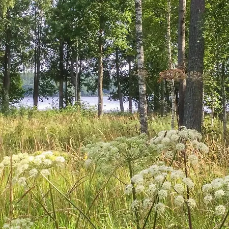 Annelinniemi By Interhome Kuohijarvi