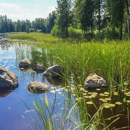 Annelinniemi By Interhome Kuohijarvi