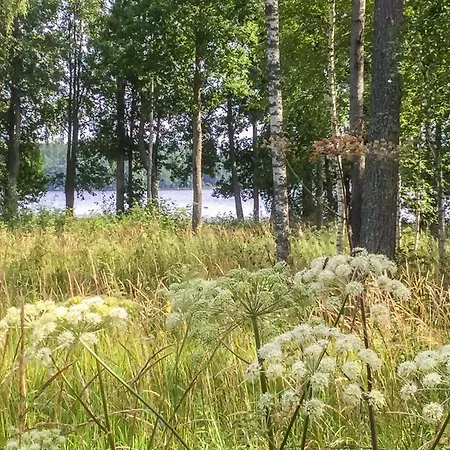 Annelinniemi By Interhome Kuohijarvi